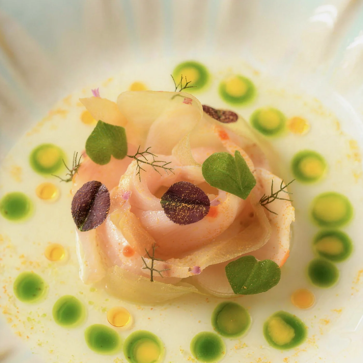 Rose of thinly sliced fish with herb-oil dots, edible leaves and flowers in a fluted white bowl